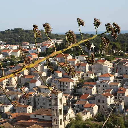 Blue Lagoon House Appartement Hvar Town