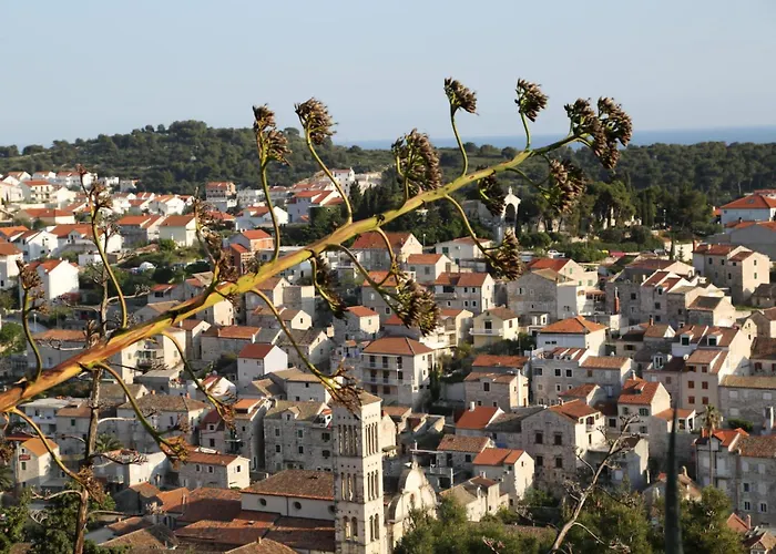 Blue Lagoon House Appartement Hvar Town